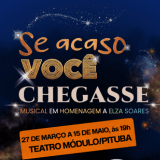 ESPETÁCULO SE ACASO VOCÊ CHEGASSE - INSPIRADO NO LEGADO DE  ELZA SOARES